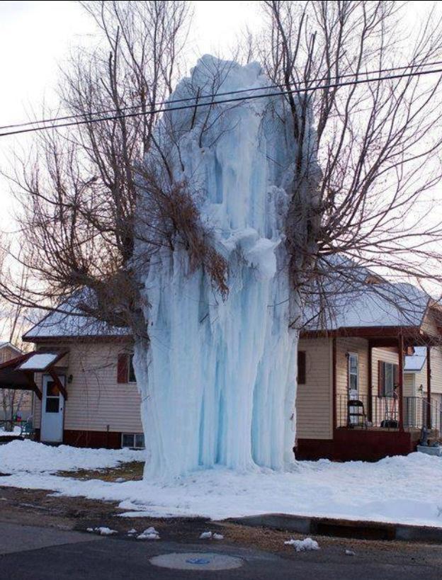 heber-city-ice-tree-viral