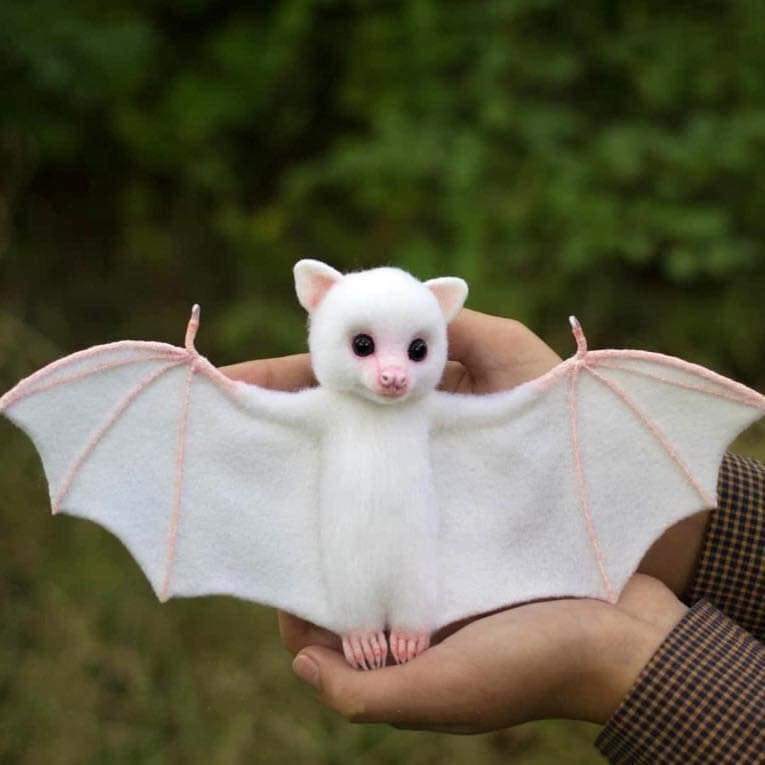 albino bat